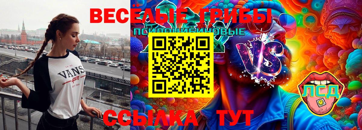 Аксай  что такое наркотик  Вход с VPN  Псилоцибиновые грибы мухоморы 